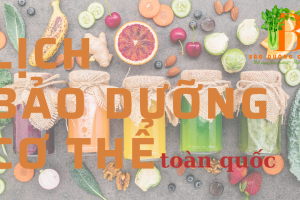 Lịch bảo dưỡng toàn quốc